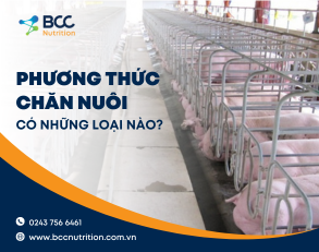 Những điều cần biết về các phương thức chăn nuôi hiện nay