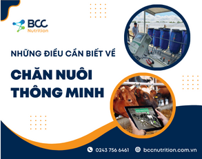 Chăn nuôi thông minh và chăn nuôi bền vững khác nhau thế nào?