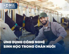 Ứng dụng công nghệ sinh học trong chăn nuôi ở Việt Nam