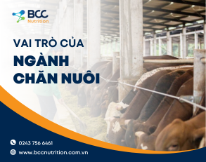 Vai trò của ngành chăn nuôi với nền kinh tế nước ta
