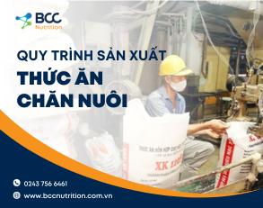 Quy trình sản xuất thức ăn chăn nuôi cơ bản