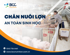Biện pháp chăn nuôi lợn theo hướng an toàn sinh học