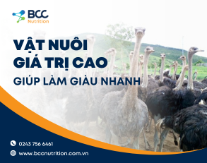Top vật nuôi giá trị cao giúp bà con làm giàu nhanh chóng