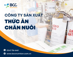 Các công ty sản xuất thức ăn chăn nuôi tại Việt Nam