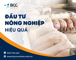 Top những cách đầu tư nông nghiệp hiệu quả