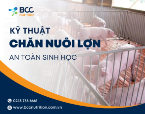 Những lưu ý về kỹ thuật chăn nuôi theo hướng an toàn sinh học