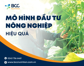 Những mô hình đầu tư nông nghiệp hiệu quả